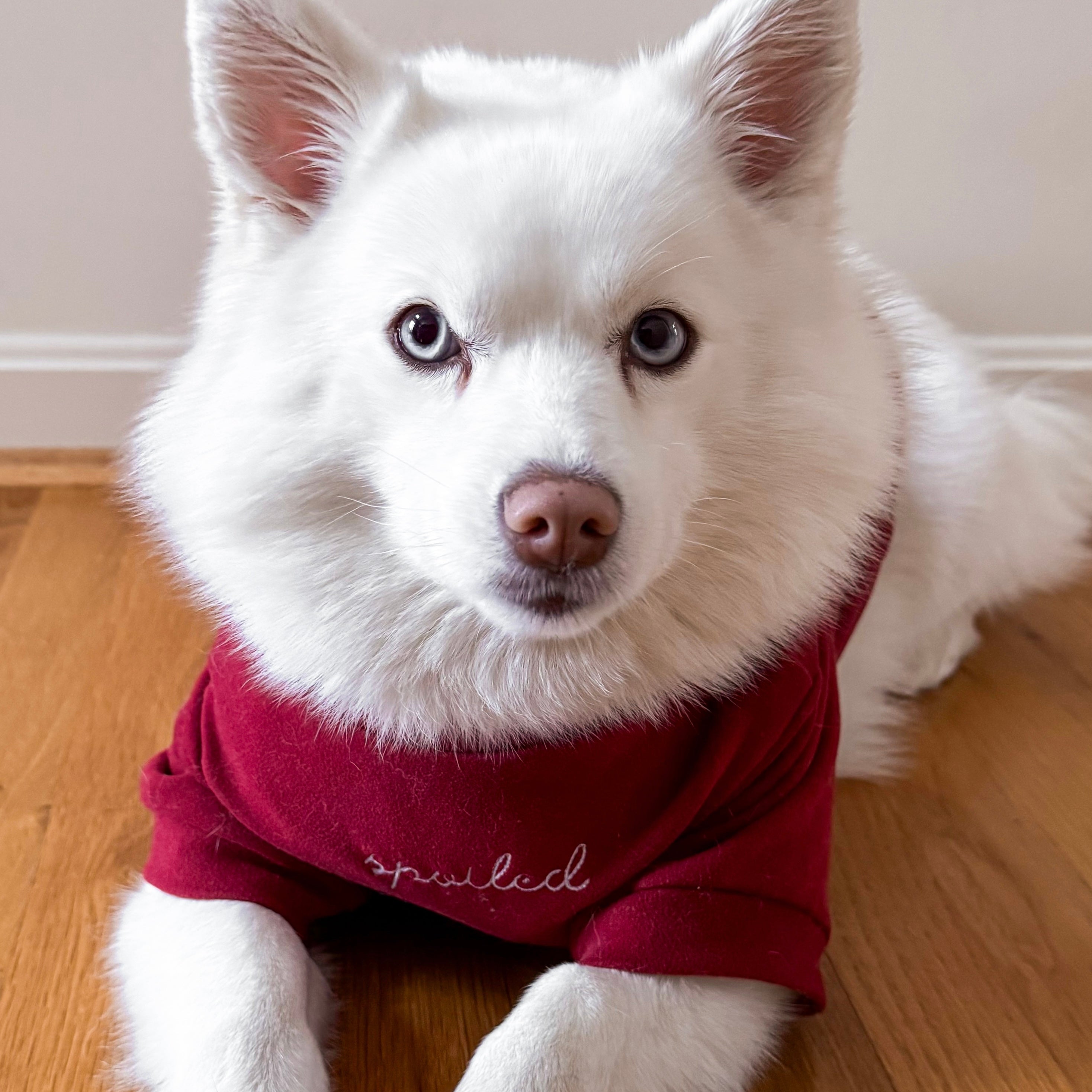 Fur Elise Spoiled Mock Neck Shirt — Lucky in Love