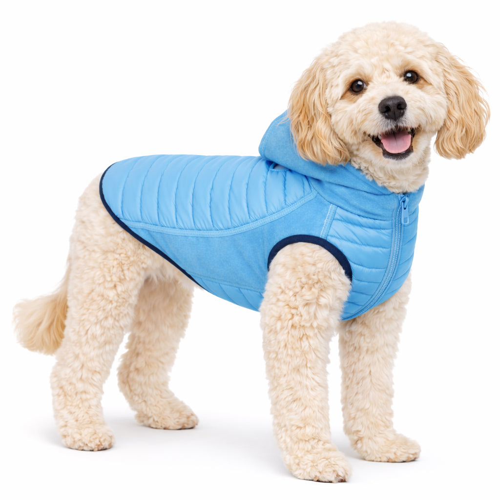 Pet Life ® 'Apex' Lightweight Hybrid 4-Season Stretch and Quick-Dry Dog Coat w/ Pop out Hood Blue
