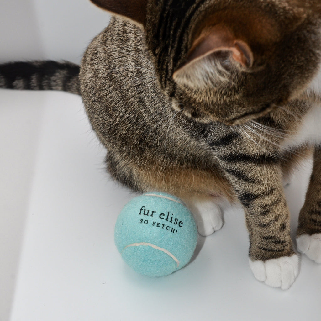 Fur Elise So Fetch! Tennis Ball - Cloud