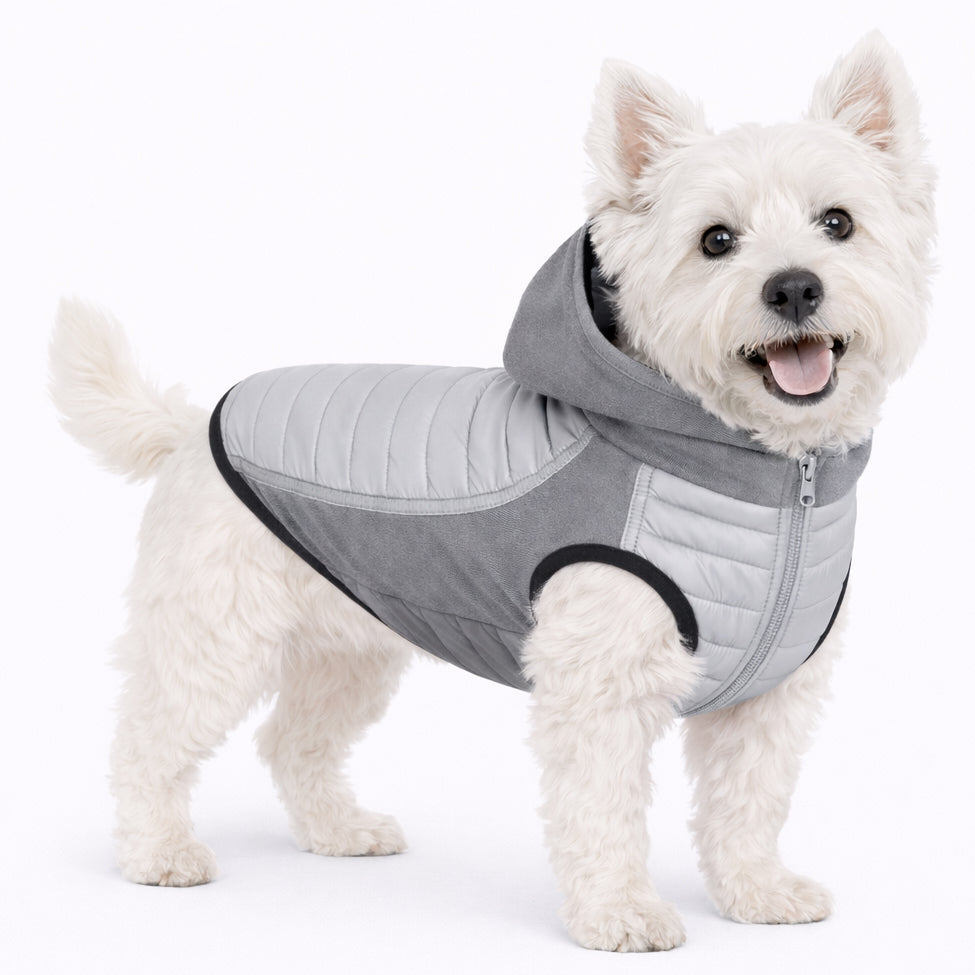Pet Life ® 'Apex' Lightweight Hybrid 4-Season Stretch and Quick-Dry Dog Coat w/ Pop out Hood Gray