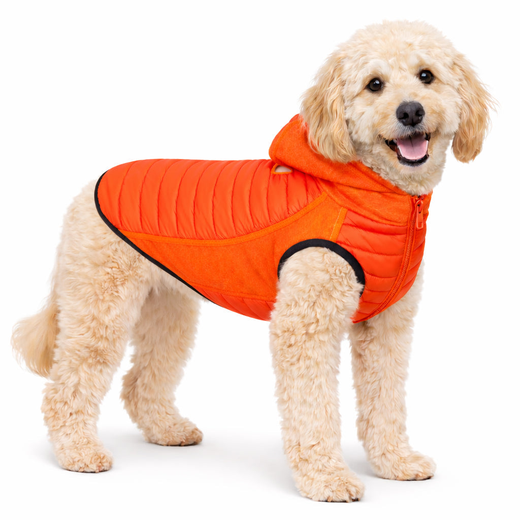 Pet Life ® 'Apex' Lightweight Hybrid 4-Season Stretch and Quick-Dry Dog Coat w/ Pop out Hood Red