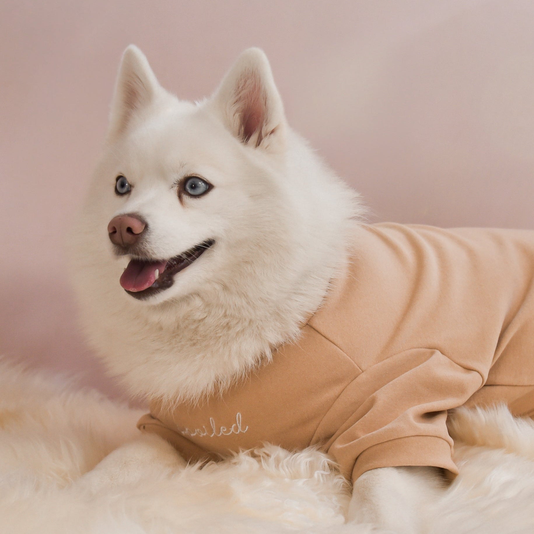 Fur Elise Spoiled Mock Neck Shirt — Miss U a Latte