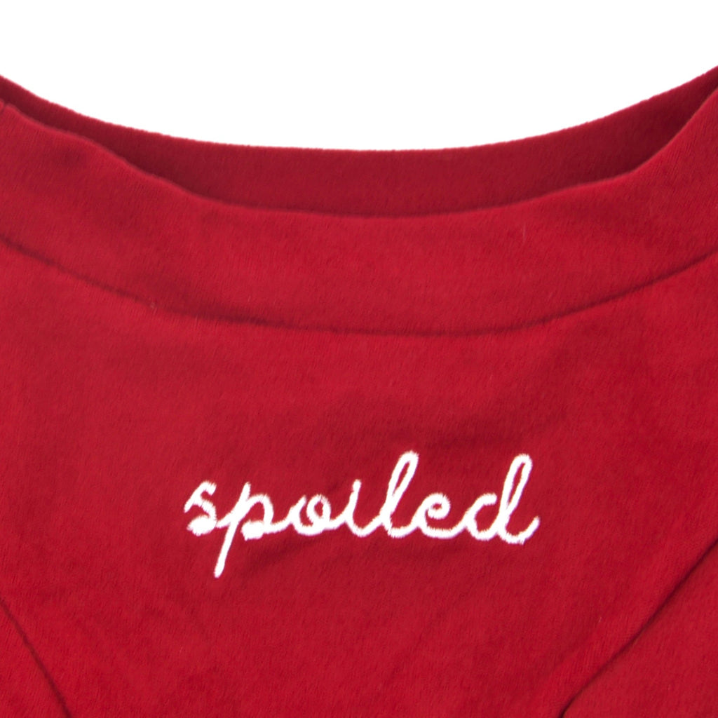 Fur Elise Spoiled Mock Neck Shirt — Lucky in Love