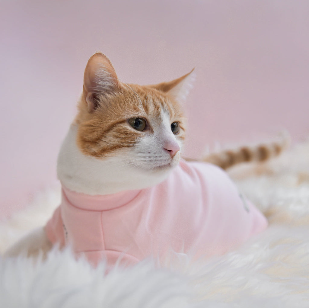 Fur Elise Spoiled Mock Neck Shirt — Cupid’s Blush
