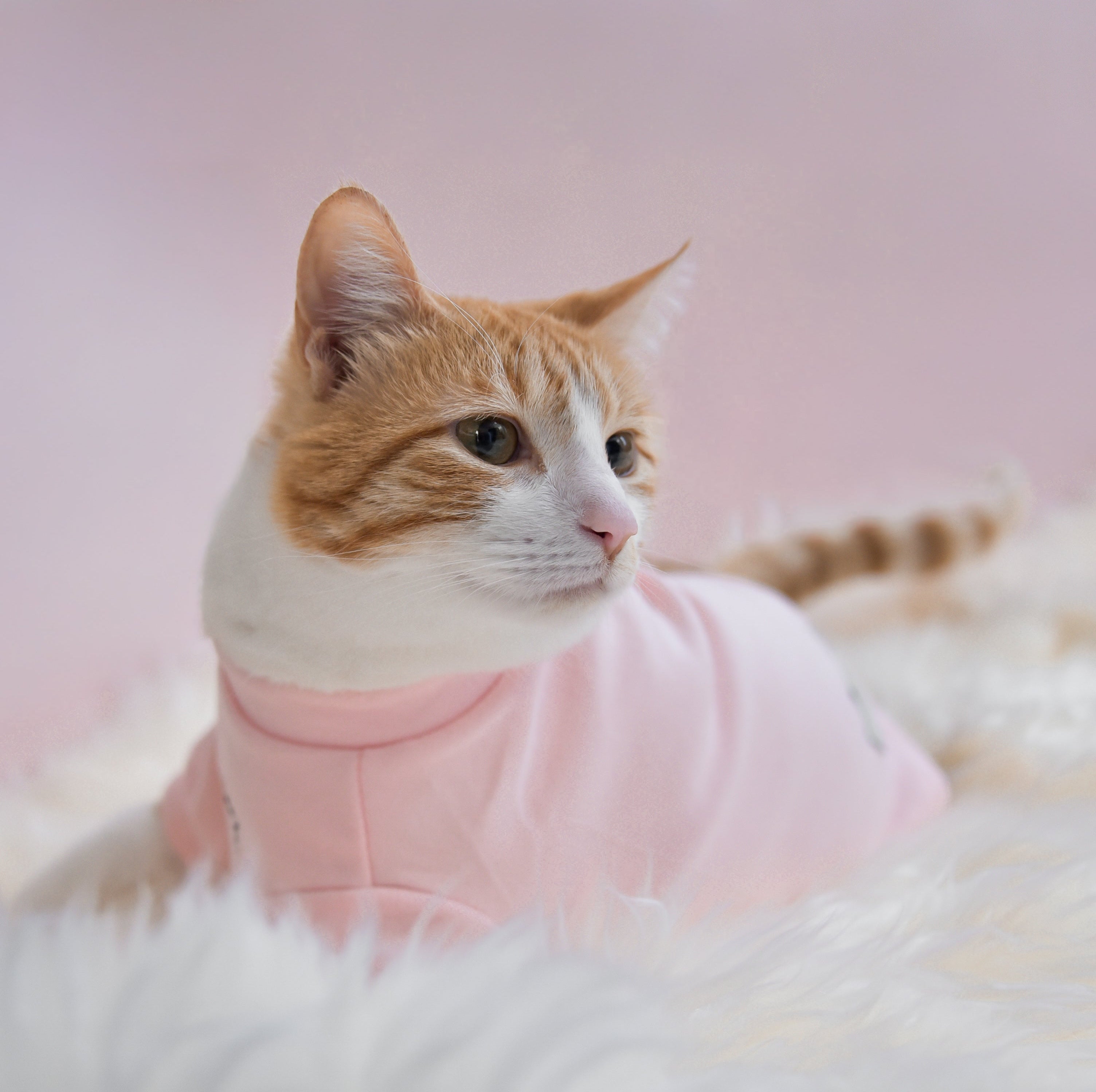 Fur Elise Spoiled Mock Neck Shirt — Cupid’s Blush