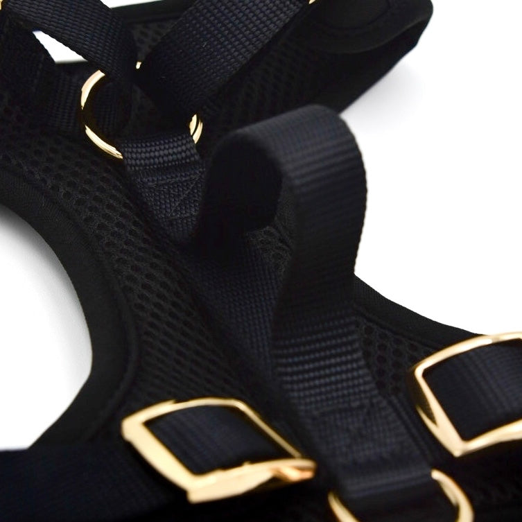 Fur Elise Harness - Noir