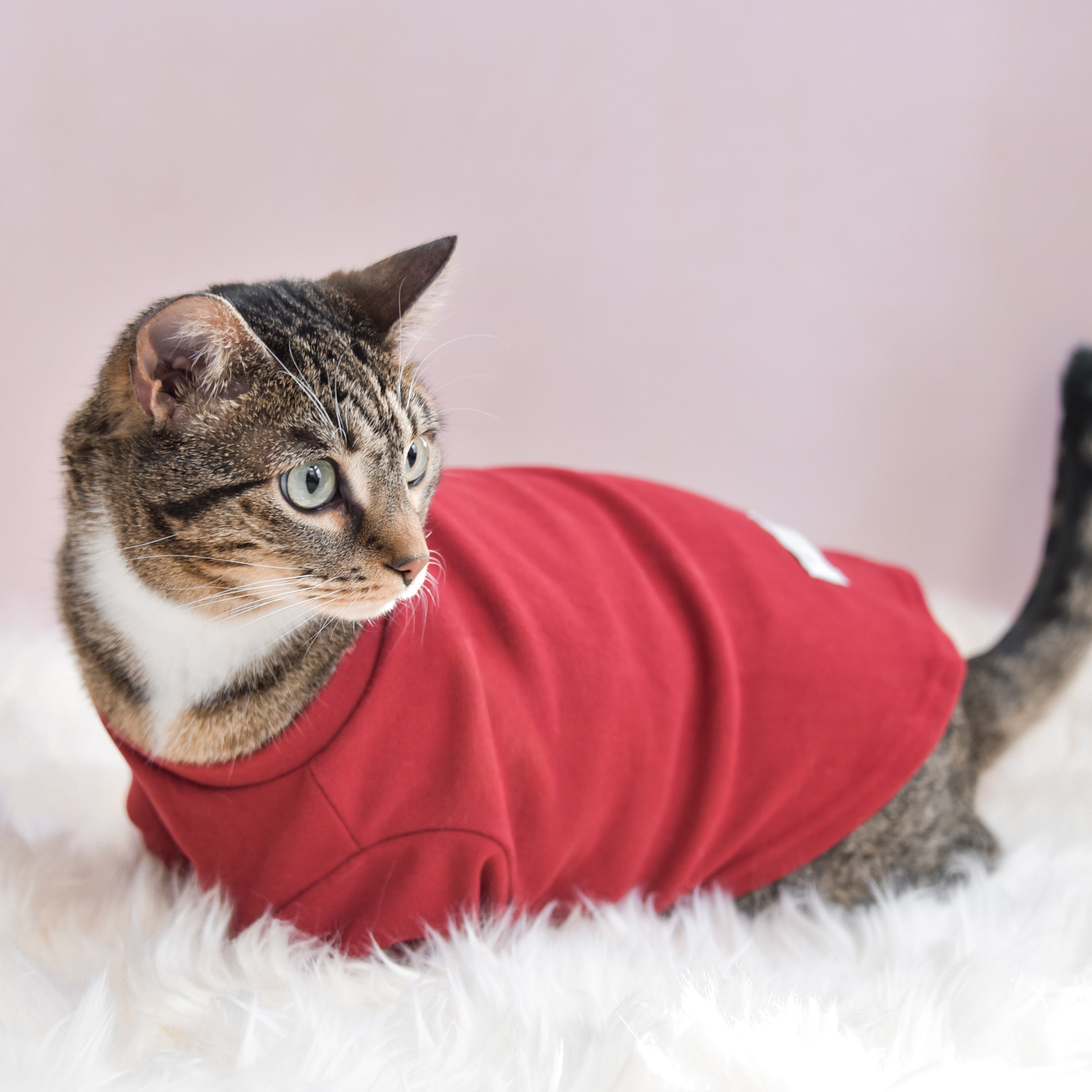 Fur Elise Spoiled Mock Neck Shirt — Lucky in Love