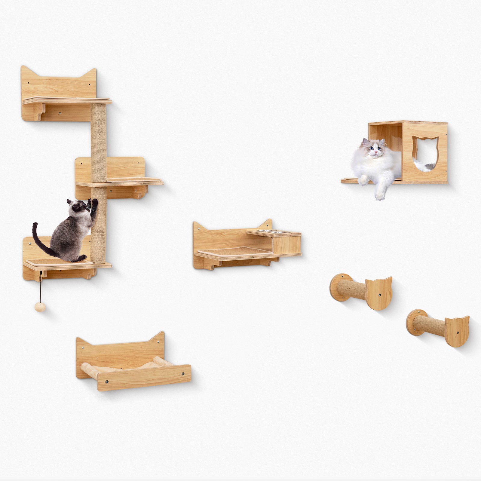 6 Pieces Cat Wall Furniture Set Kitten Wall Mounted Shelves-Natural Default Title