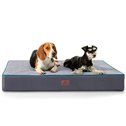 Bedsure Orthopedic Dog Bed for Medium Dogs - Memory Foam Dog Beds 2-Layer Thick Pet Bed with Removable Washable Cover and Waterproof Lining (30x20x3 Inches) Grey