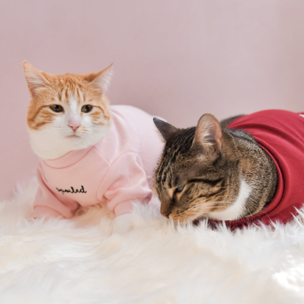 Fur Elise Spoiled Mock Neck Shirt — Lucky in Love