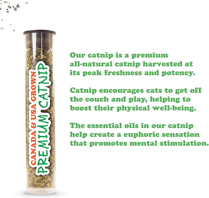 Meowijuana Refillable Cat Toys | Get Sprung - Ladybug and Mushroom Catnip Toys | Includes Potent Hand Harvested Catnip Grown in North America | Promotes Play and Cat Health