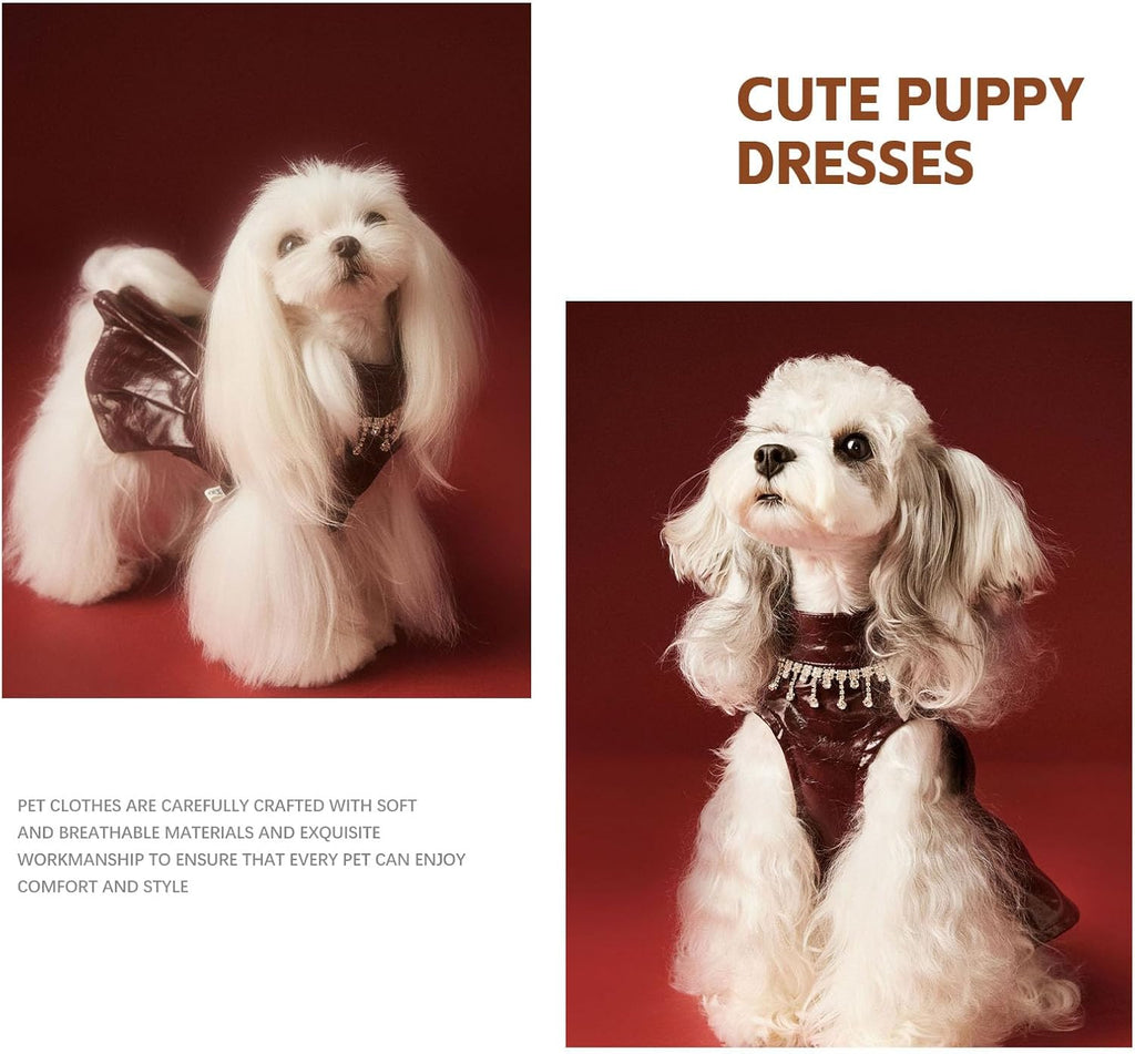 Leather Beret Pet Dress with Hat