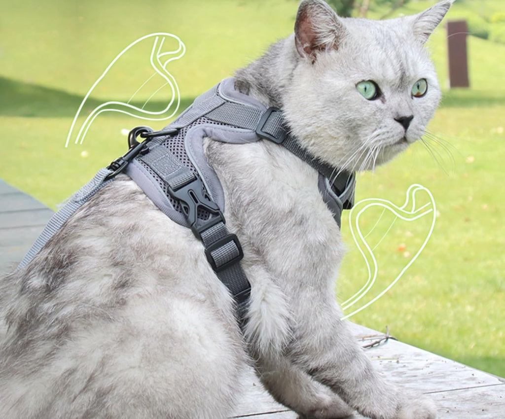 Reflective Pet Harness and Leash Set – Adjustable Escape Proof Soft Mesh Vest for Indoor & Outdoor Walking