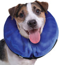 Inflatable Dog Collar