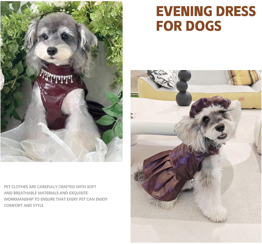 Leather Beret Pet Dress with Hat