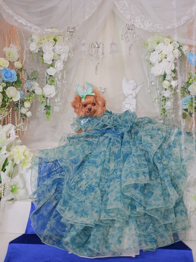 Blue Floral Pet Wedding Dress with Detachable Train