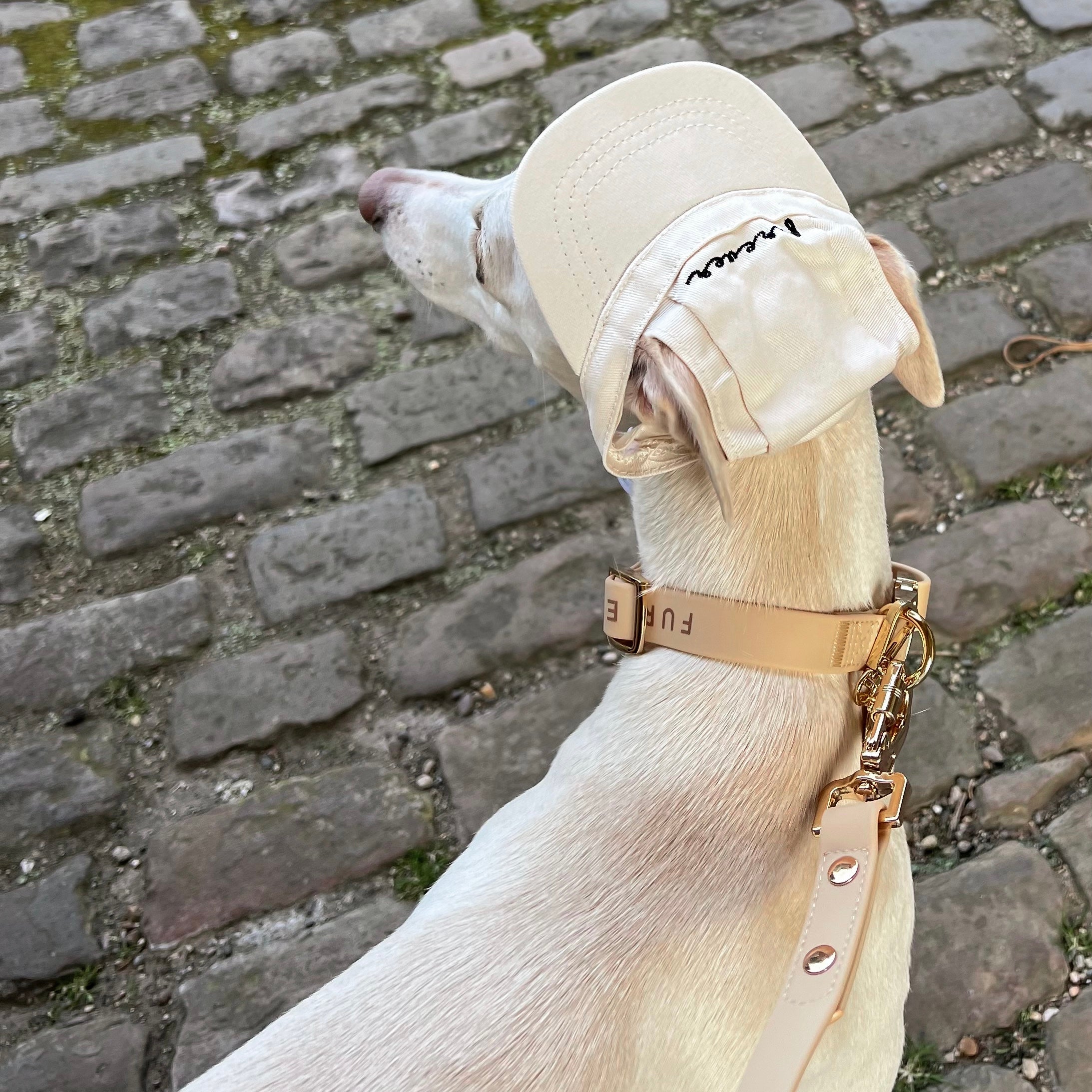Fur Elise Collar & Leash Set - Sand