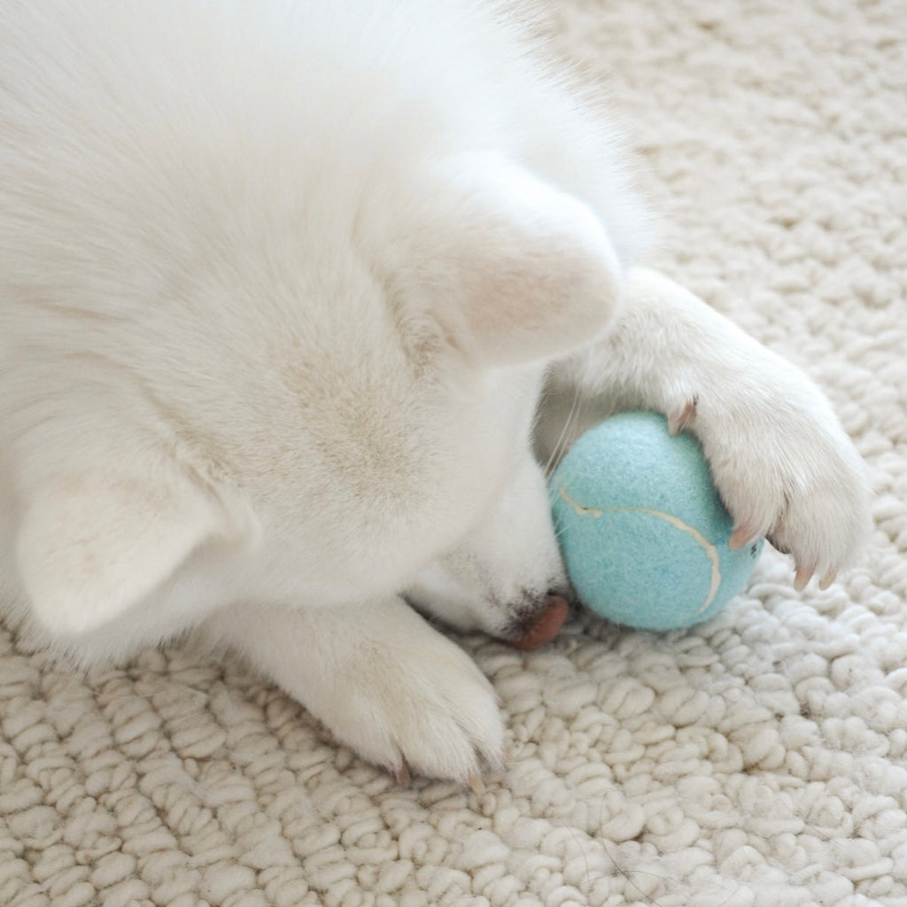 Fur Elise So Fetch! Tennis Ball - Cloud
