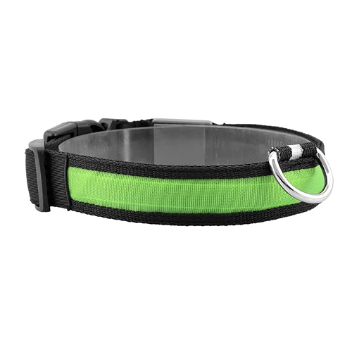GBruno LED Dog Collar USB Green