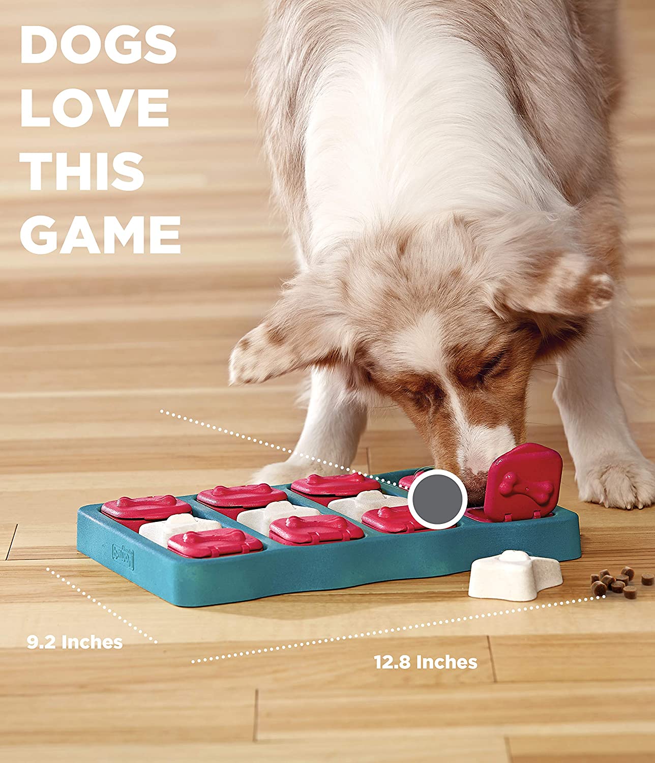 Brick Puzzle Game for Dogs -Nina Ottosen