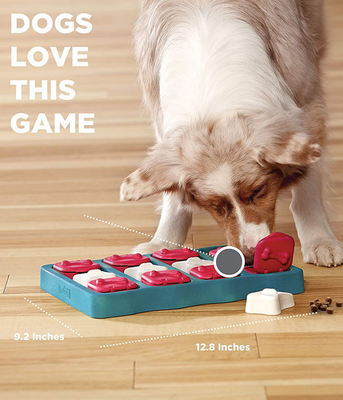 Brick Puzzle Game for Dogs -Nina Ottosen