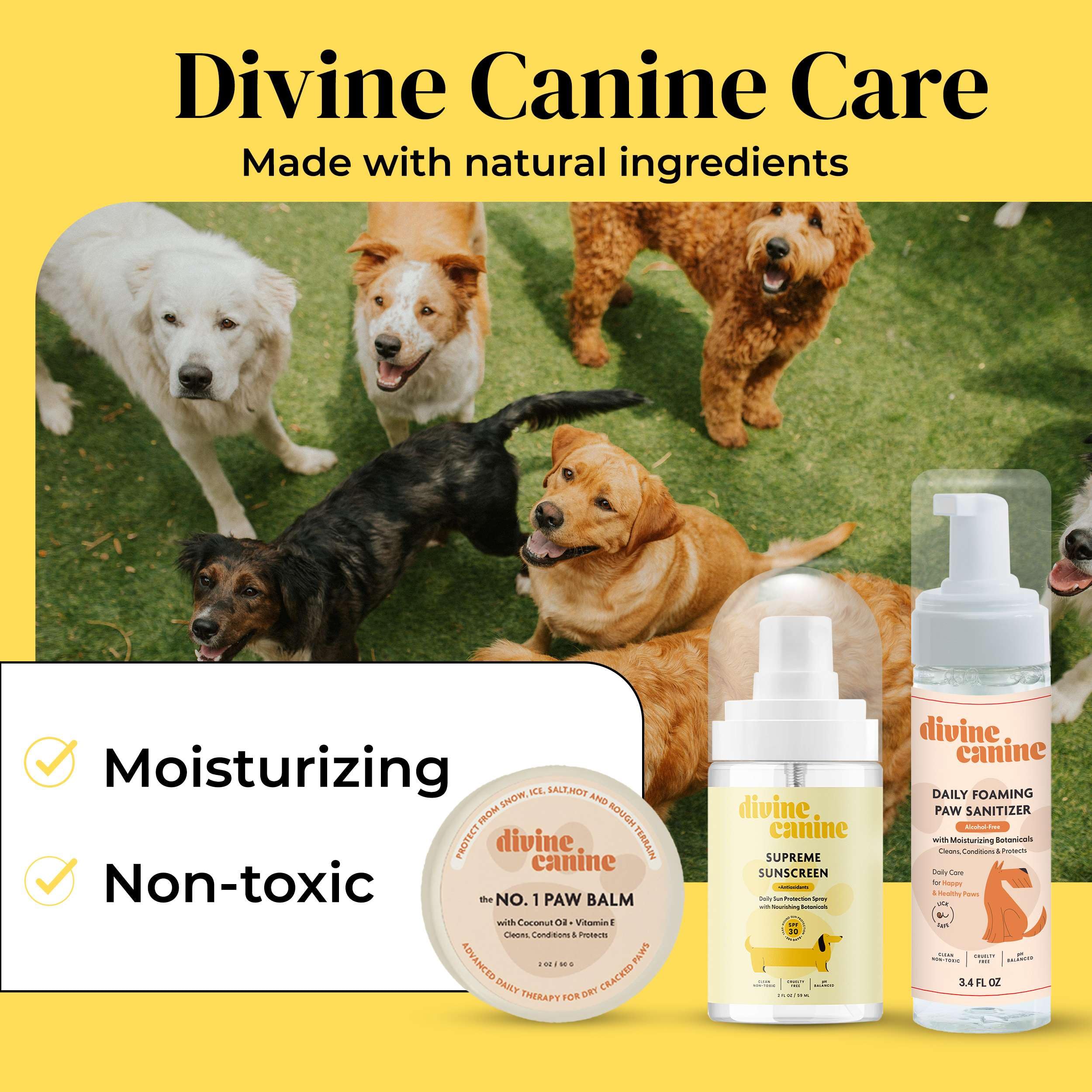 Divine Canine Summer Essentials Dog Care Kit Sunscreen Paw Balm