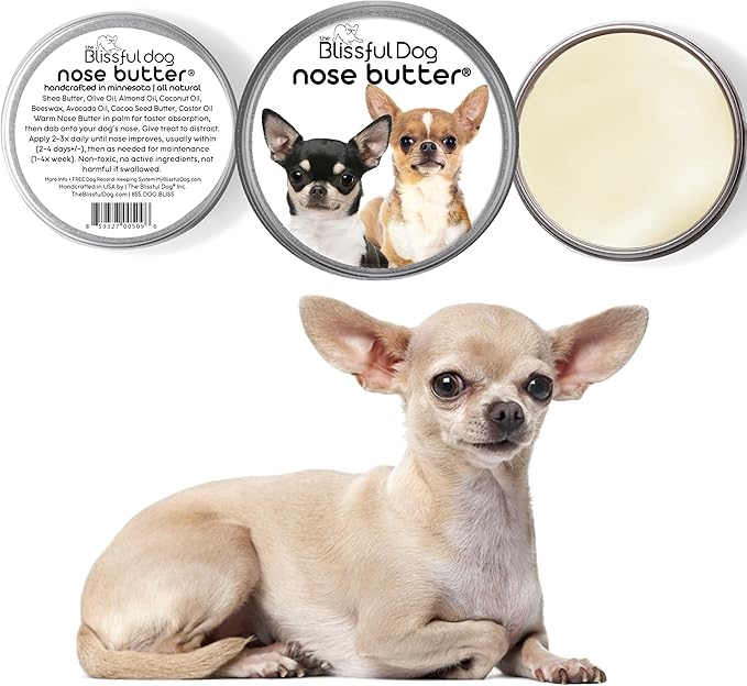 The Blissful Dog Smooth Coat Chihuahua Nose Butter for Dry, Cracked Skin, Lick-Safe Dog Nose Balm with Moisturizing Shea Butter, Almond, Olive, and Essential Oils, Pet Supplies, Uncented, 1 oz.
