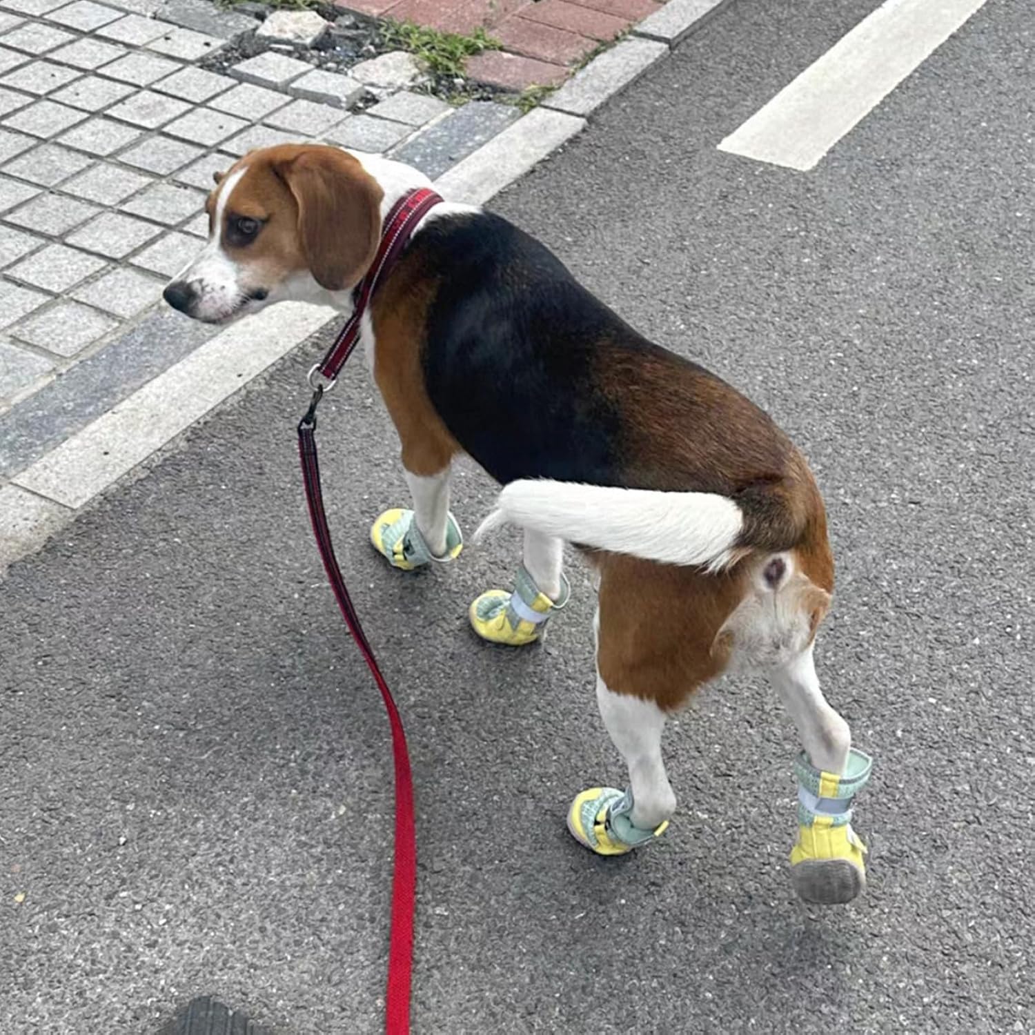 Breathable Mesh Dog Shoes | Non-Slip Summer Pet Boots