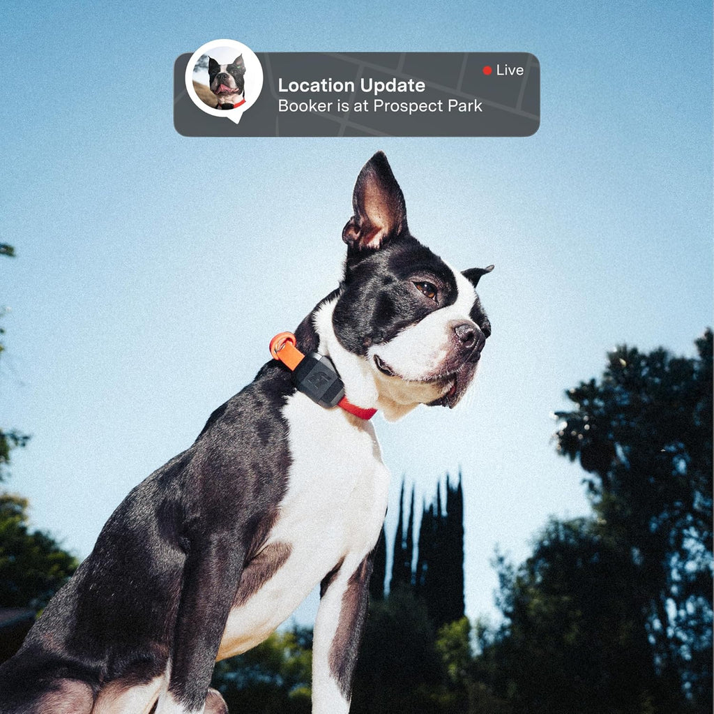 Fi Mini GPS Tracker for Dogs Lightweight Waterproof Smart Pet Tracker