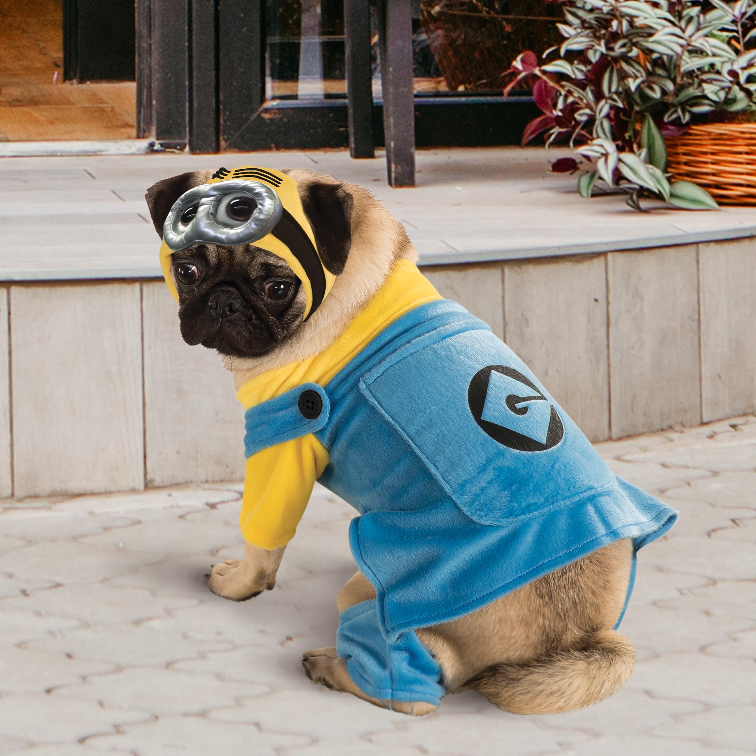 Rubies Despicable Me Minion Pet Costume Multicolor Size XL