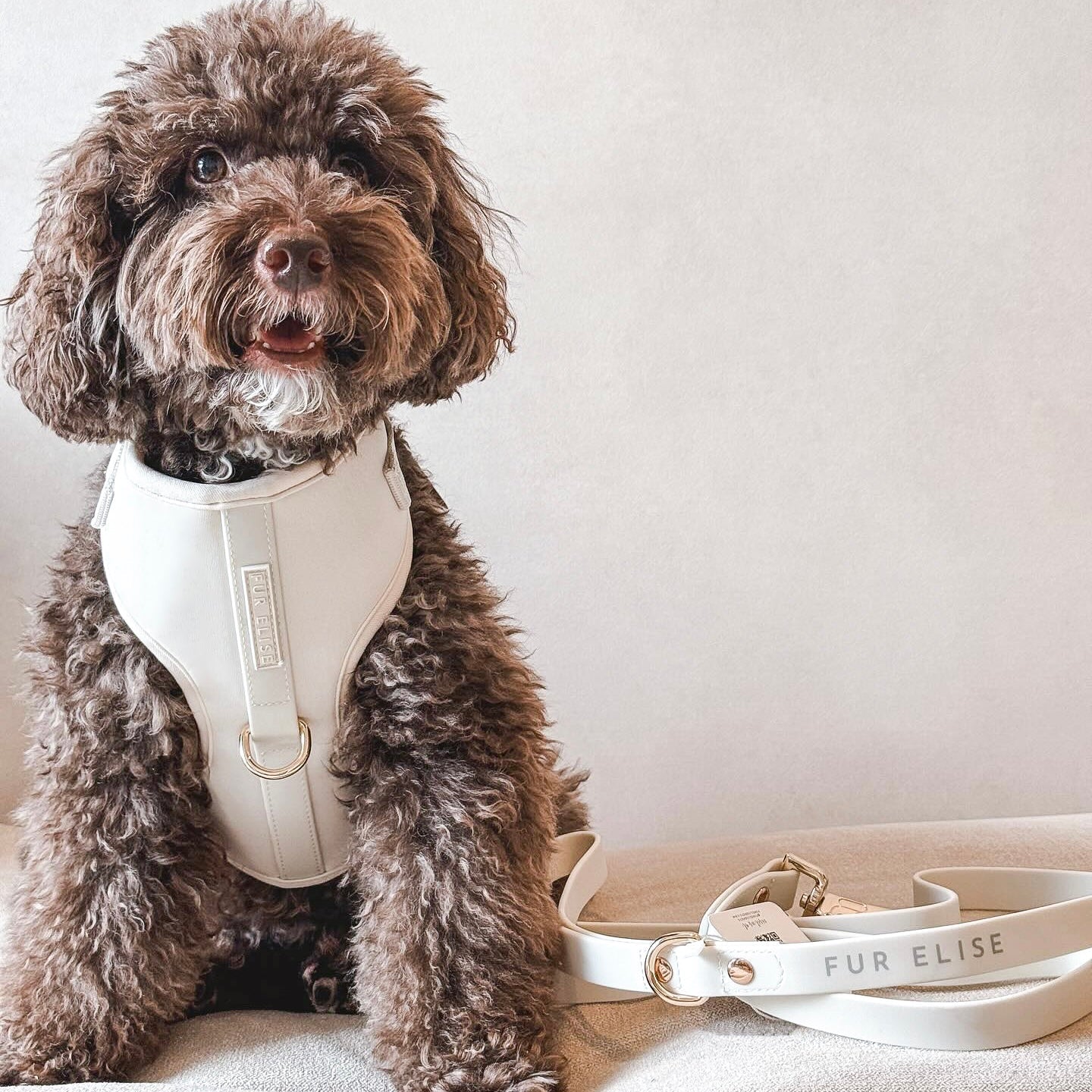 Fur Elise The Ultimate Walk Set - Bone