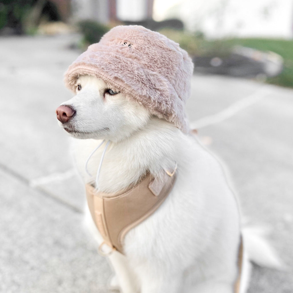Fur Elise Furi Pet Hat - Sand