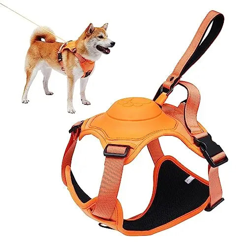 Dog Harness and Automatic Retractable Leash Kit Orange