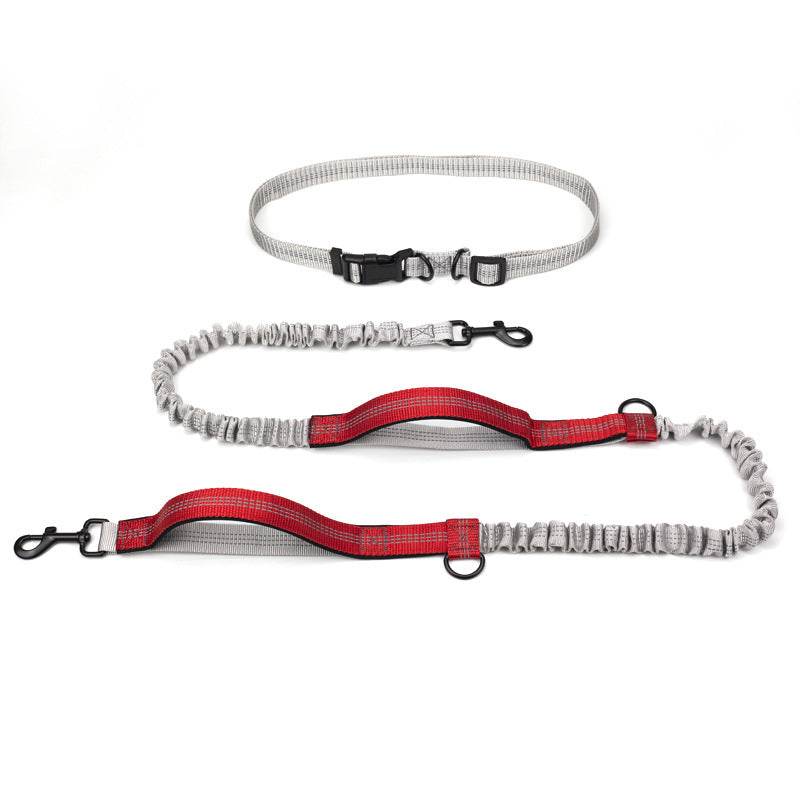 Pet Supplies Outdoor Running Dog Leash for Active Dogs Red