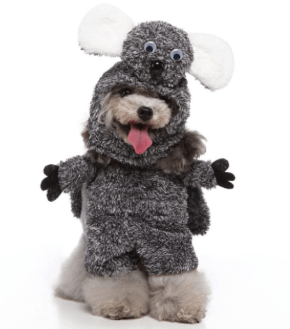 Funny Cosplay Pet Costume Set: Cute Cartoon Dog Outfit For Halloween And Christmas Dress-Up Raccoon