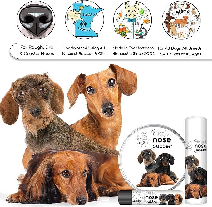 The Blissful Dog Dachshund Nose Butter for Dry, Cracked Skin, Lick-Safe Dog Nose Balm with Moisturizing Shea Butter, Almond, Olive, and Essential Oils, Pet Supplies, Uncented, 8 oz.