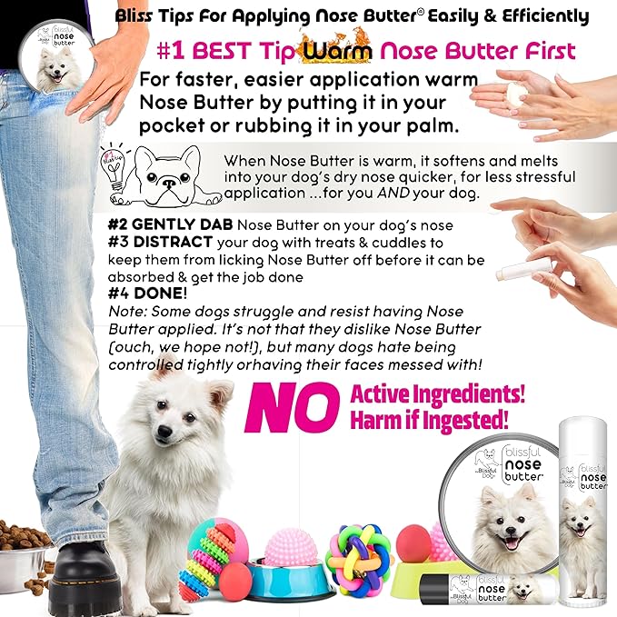 The Blissful Dog American Eskimo Nose Butter for Dry, Cracked Skin, Lick-Safe Dog Nose Balm with Moisturizing Shea Butter, Almond, Olive, and Essential Oils, Pet Supplies, Uncented, 4 oz.