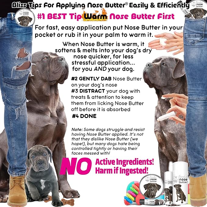The Blissful Dog Cane Corso Nose Butter for Dry, Cracked Skin, Lick-Safe Dog Nose Balm with Moisturizing Shea Butter, Almond, Olive, and Essential Oils, Pet Supplies, Uncented, 8 oz.