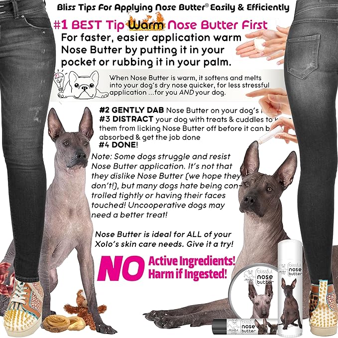 The Blissful Dog Xoloitzcuintli Nose Butter for Dry, Cracked Skin, Lick-Safe Dog Nose Balm with Moisturizing Shea Butter, Almond, Olive, and Essential Oils, Pet Supplies, Uncented, 2 oz.