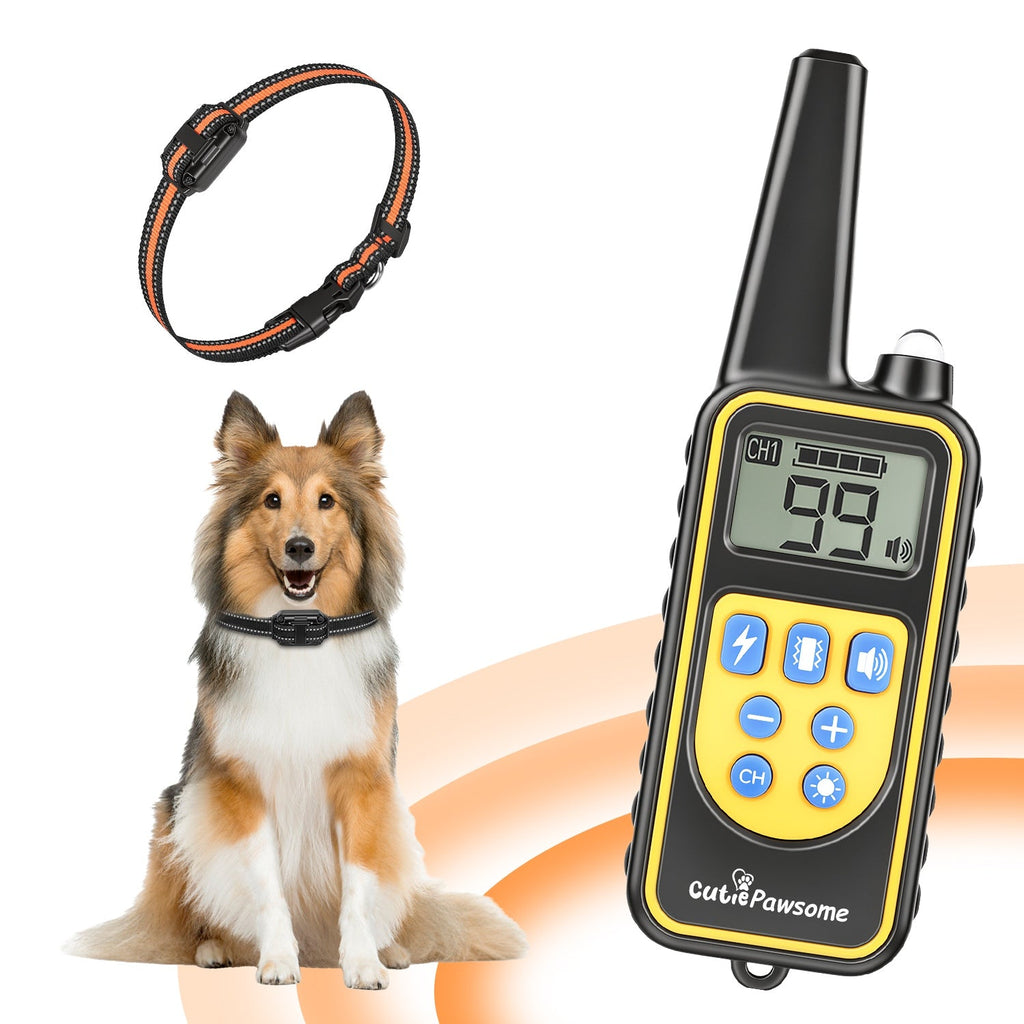Rechargeable Dog Training Collar with Remote – 875 Yard Range