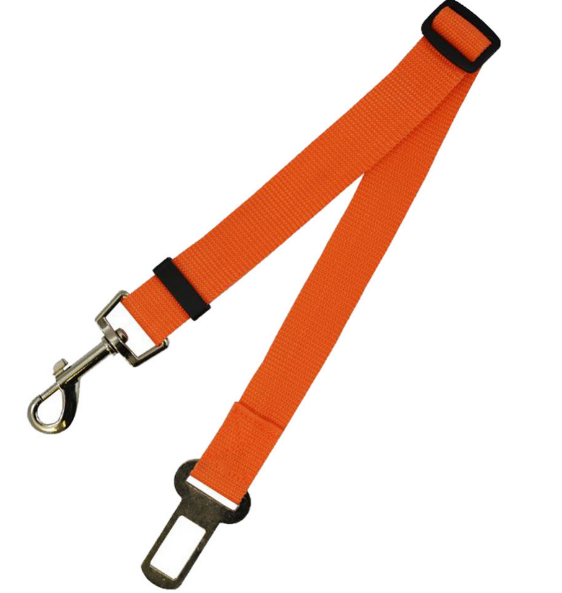 Fixed Strap Polyester Dog Strap Leash 70cm Orange