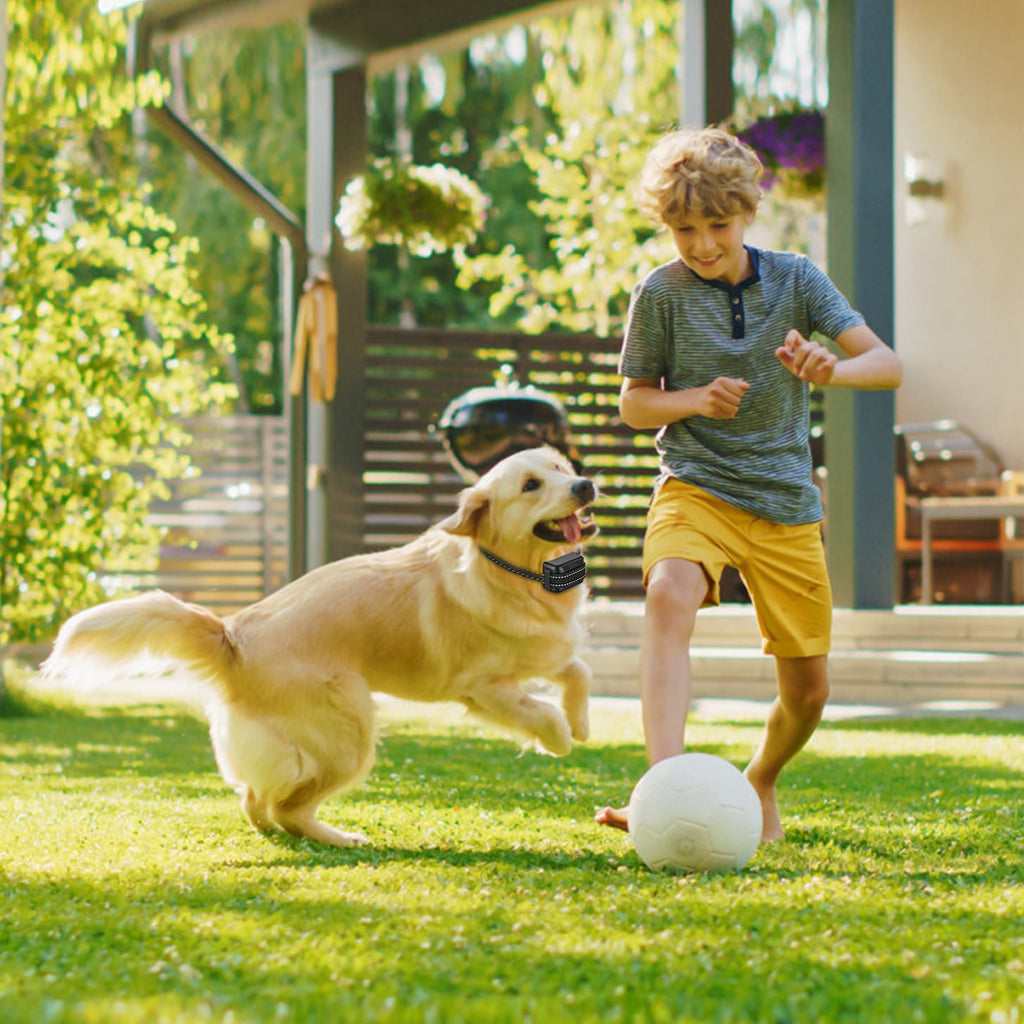 Wireless Dog Fence System with Training Collar - 722FT Range