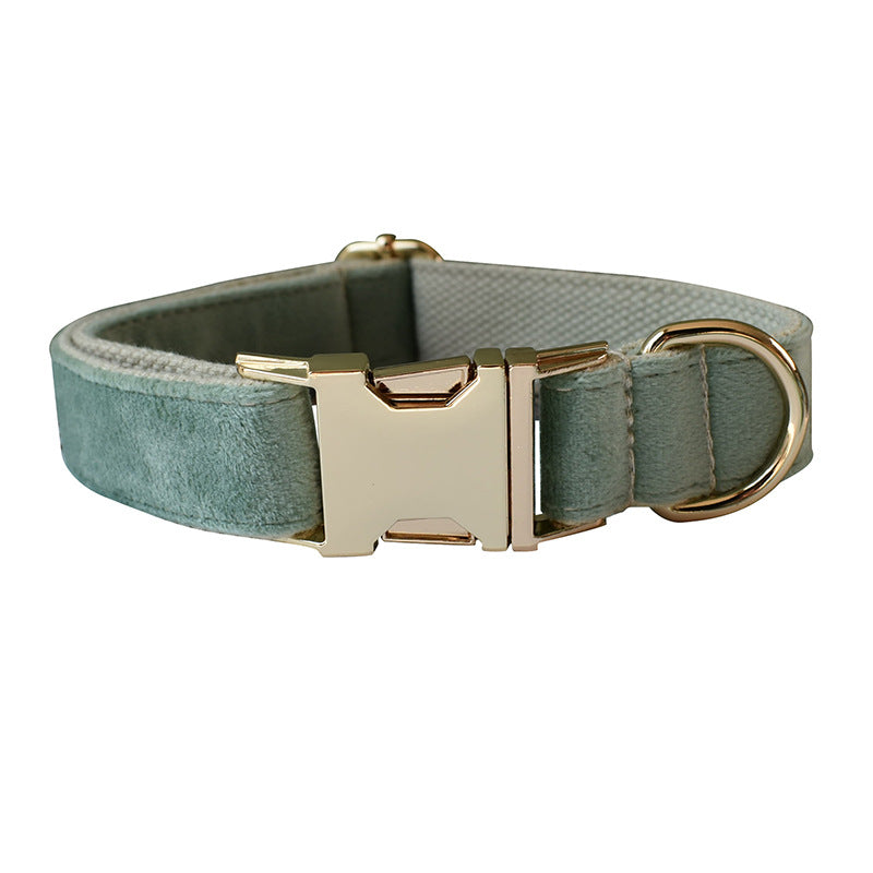 Mint Green Dog Collar Leash Collar