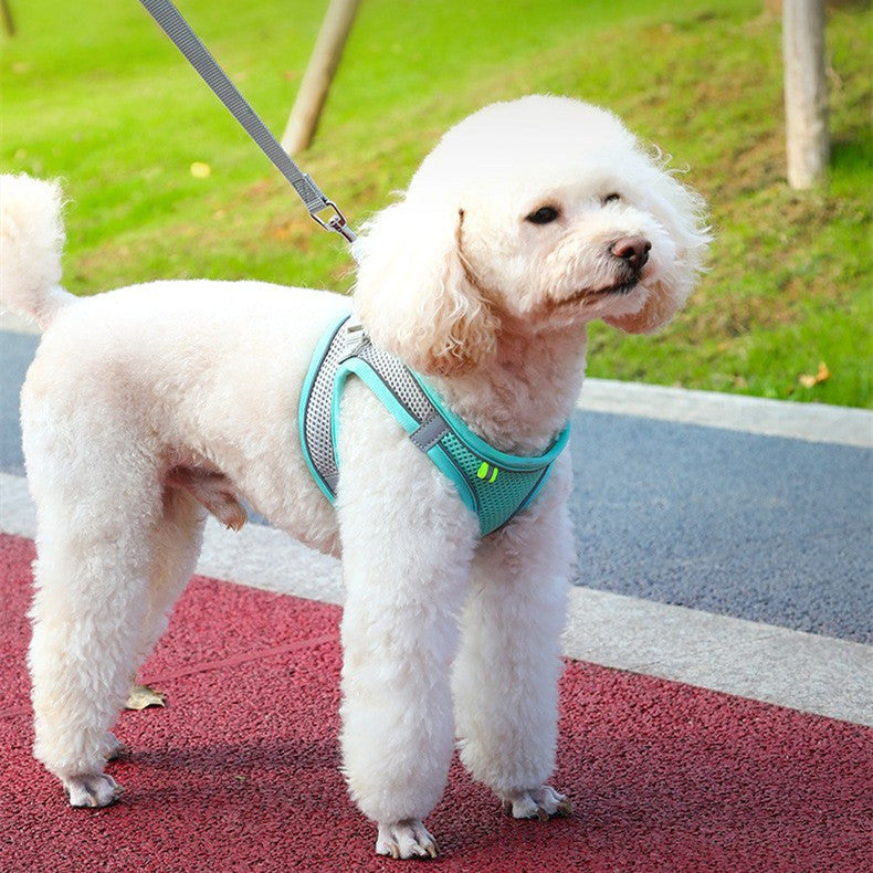 Reflective Dog Vest Harness & Leash – Breathable Polyester | XXS–L | 7 Colors