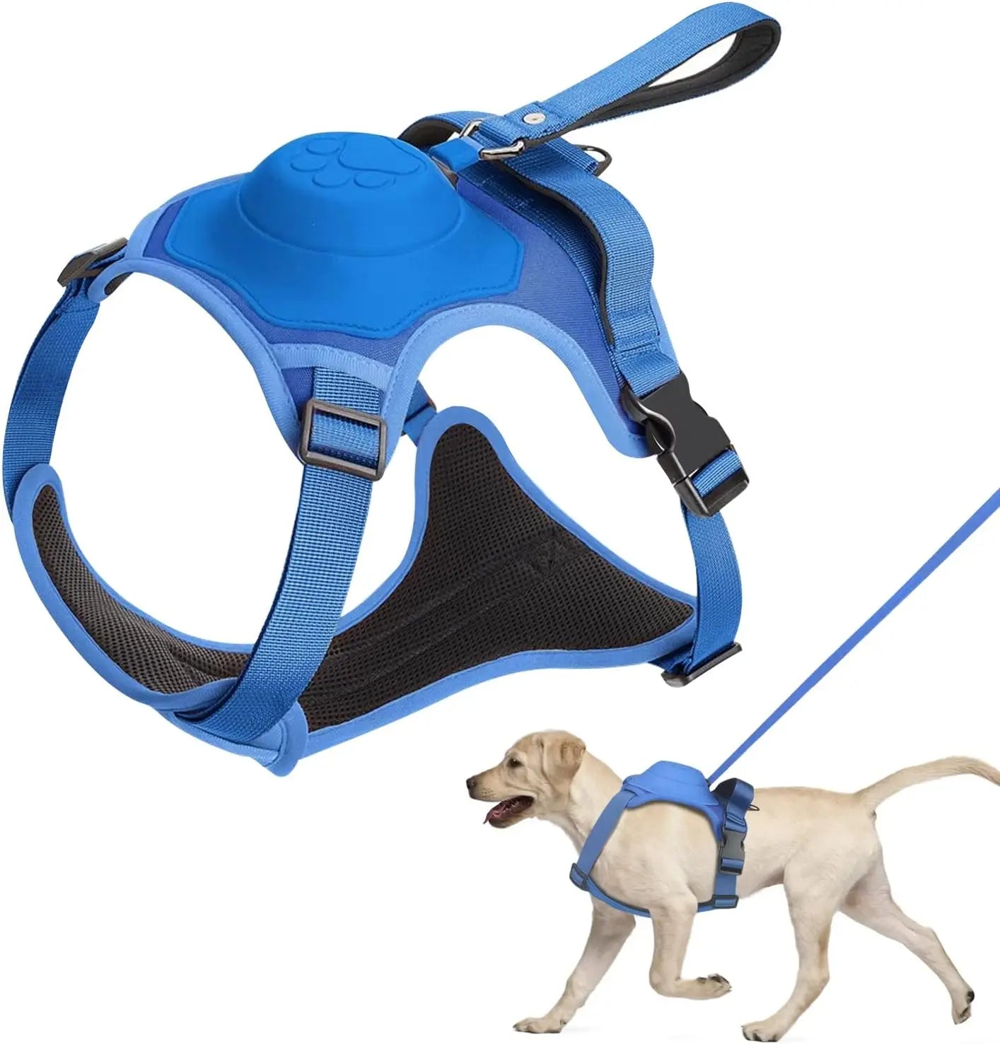 Dog Harness and Automatic Retractable Leash Kit Blue