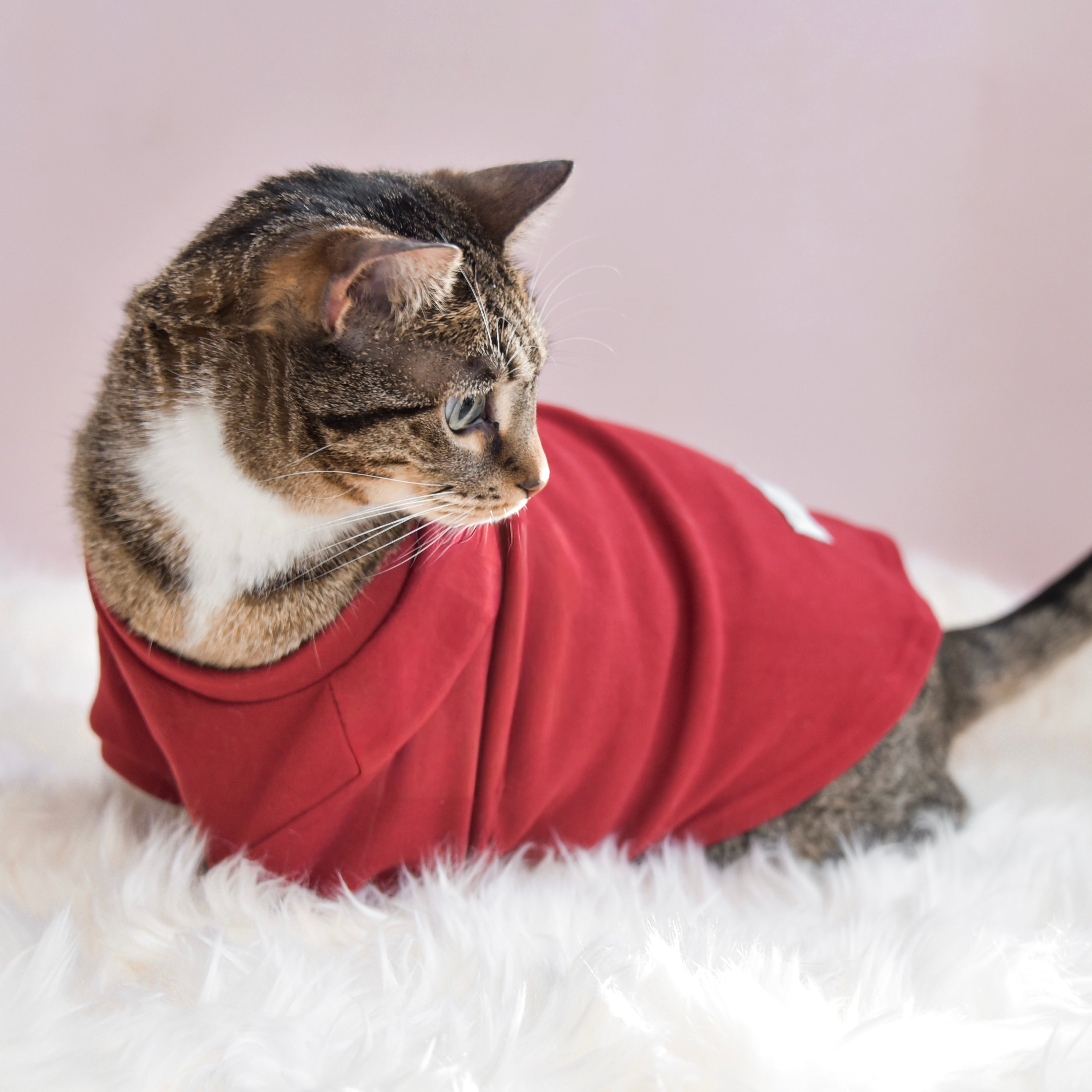 Fur Elise Spoiled Mock Neck Shirt — Lucky in Love