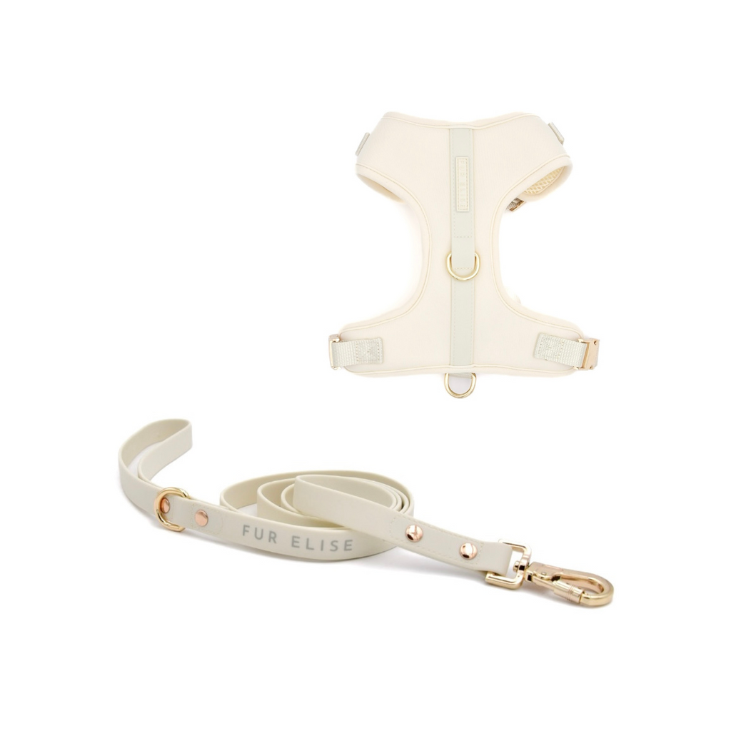Fur Elise Harness & Leash Set - Bone