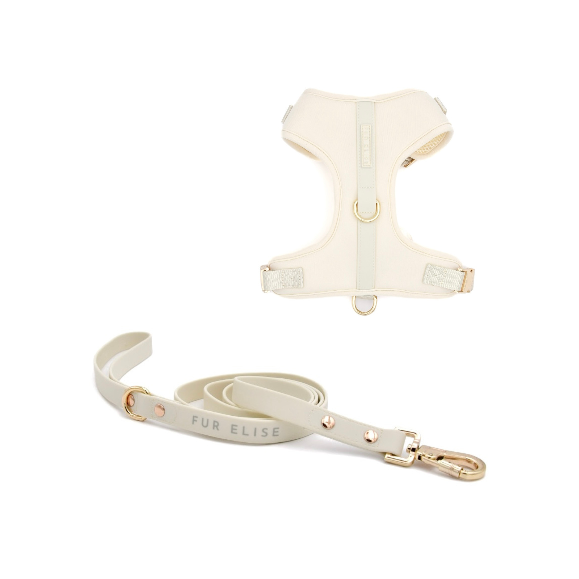 Fur Elise Harness & Leash Set - Bone