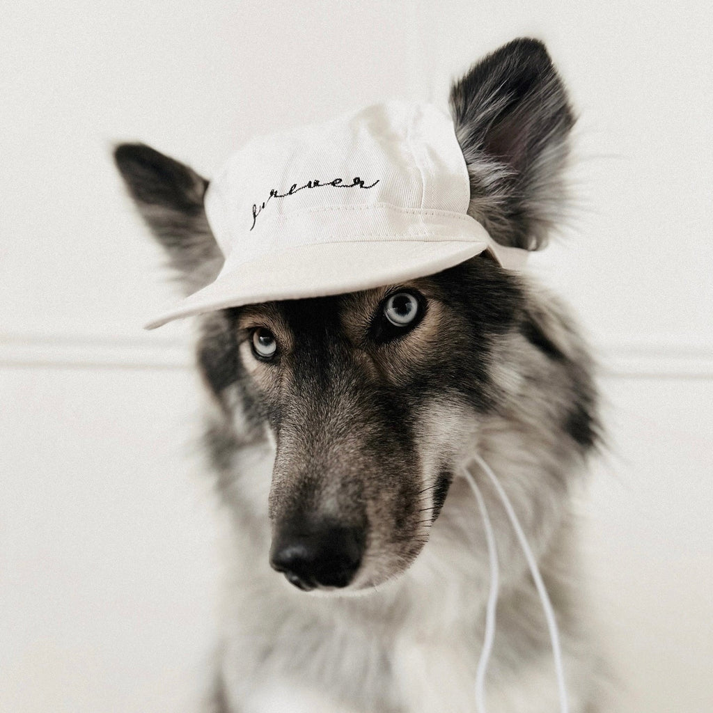 Fur Elise Furever Pet Hat