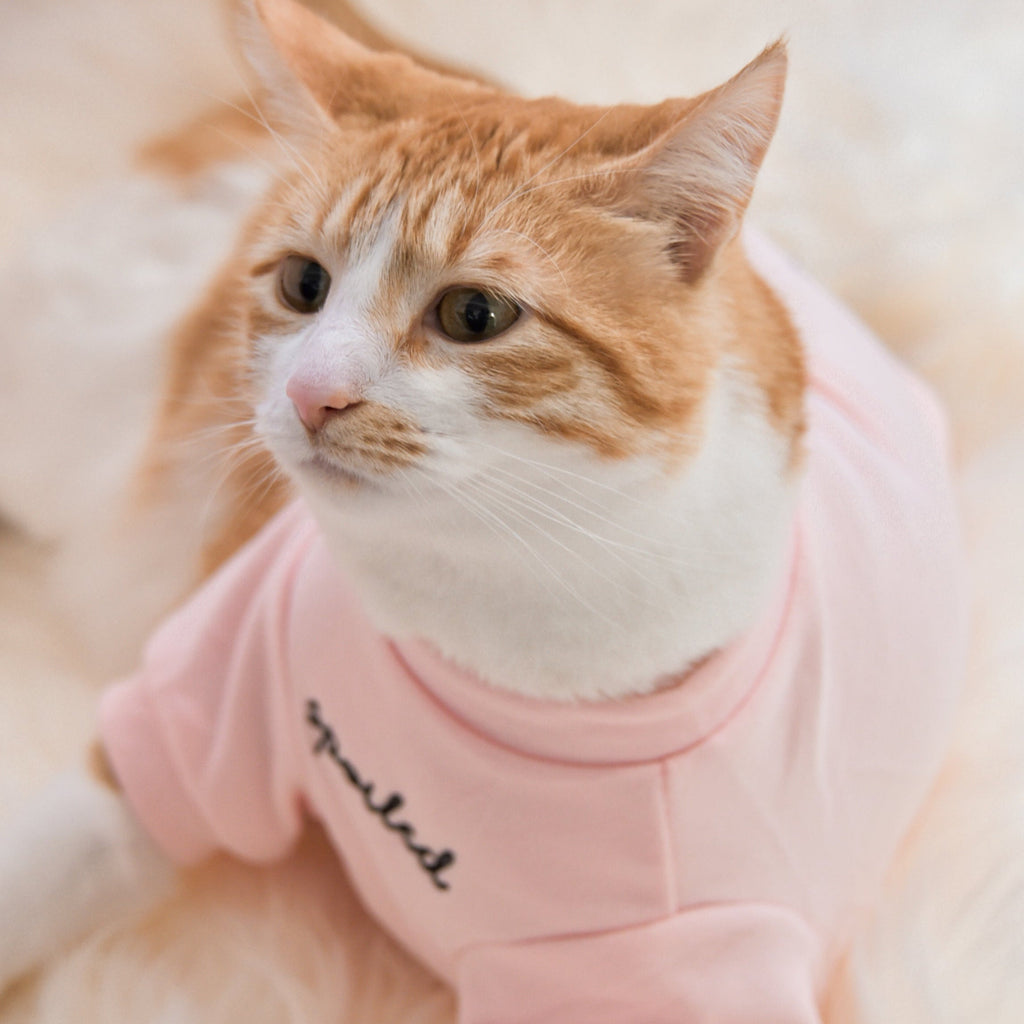 Fur Elise Spoiled Mock Neck Shirt — Cupid’s Blush